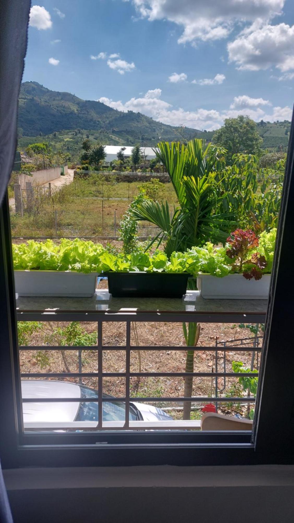 Family Homestay Bao Loc Exterior photo